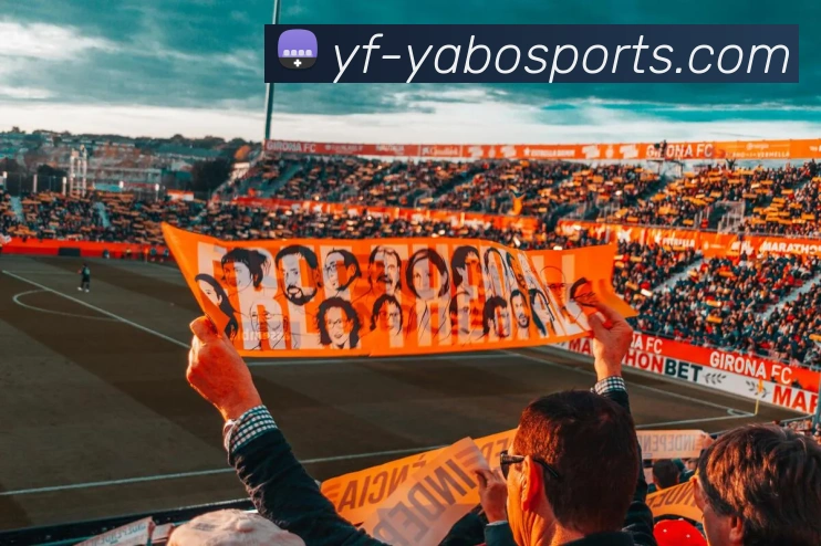 多媒体互动体验